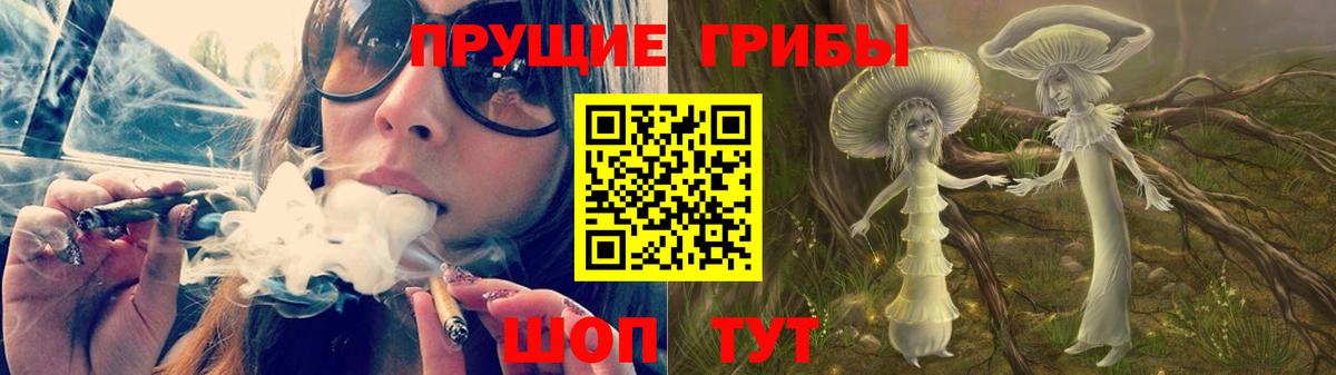 Псилоцибиновые грибы Psilocybe  Вход с VPN  Псилоцибиновые грибы Magic Shrooms  купить наркотики сайты  Псков 